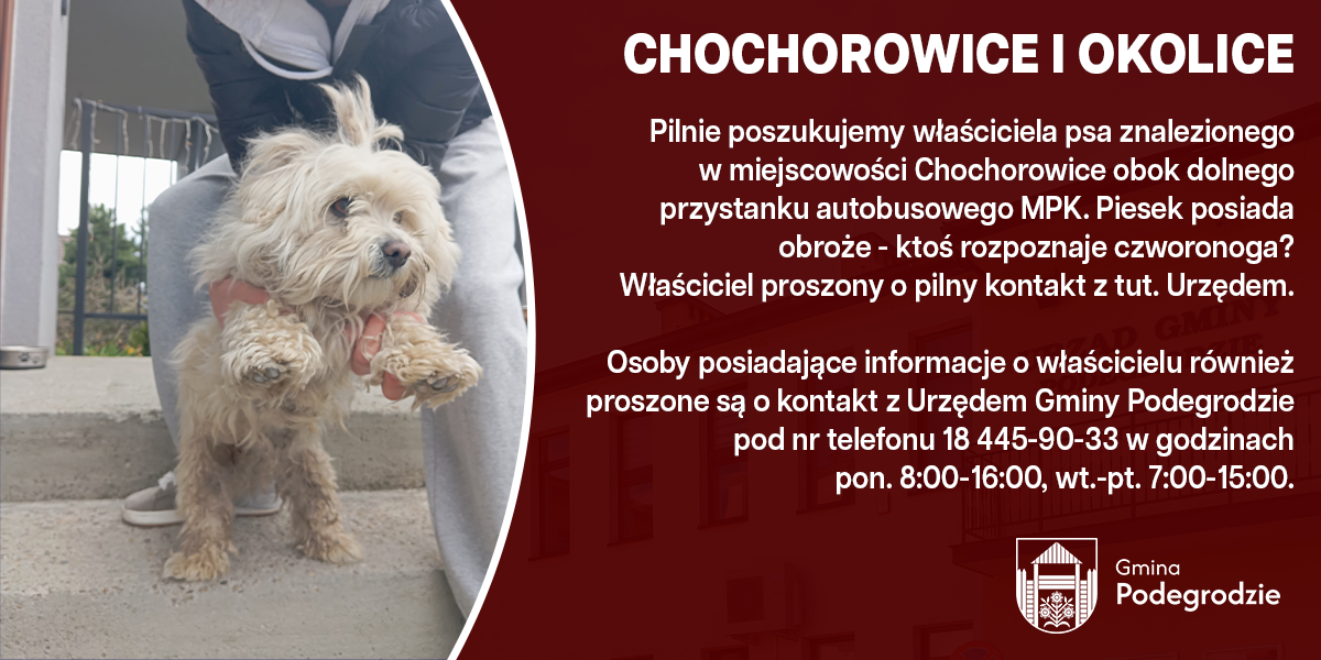 OGŁOSZENIA I KOMUNIKATY