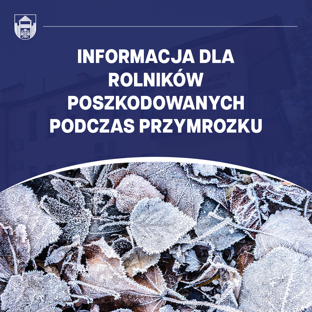 OGŁOSZENIA I KOMUNIKATY