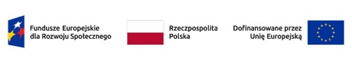 Raport z przeprowadzonych konsultacji społecznych w ramach projektu „Dostępny samorząd 2.0”