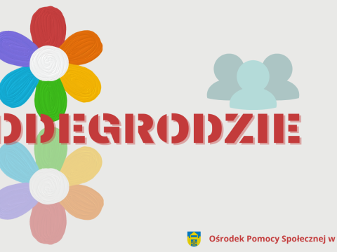 DODATEK DLA GOSPODARSTW DOMOWYCH Z TYTUŁU WYKORZYSTANIA NIEKTÓRYCH ŹRÓDEŁ CIEPŁA