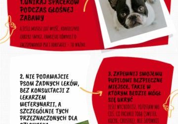 Jak pomóc zwierzakowi przetrwać Sylwestra