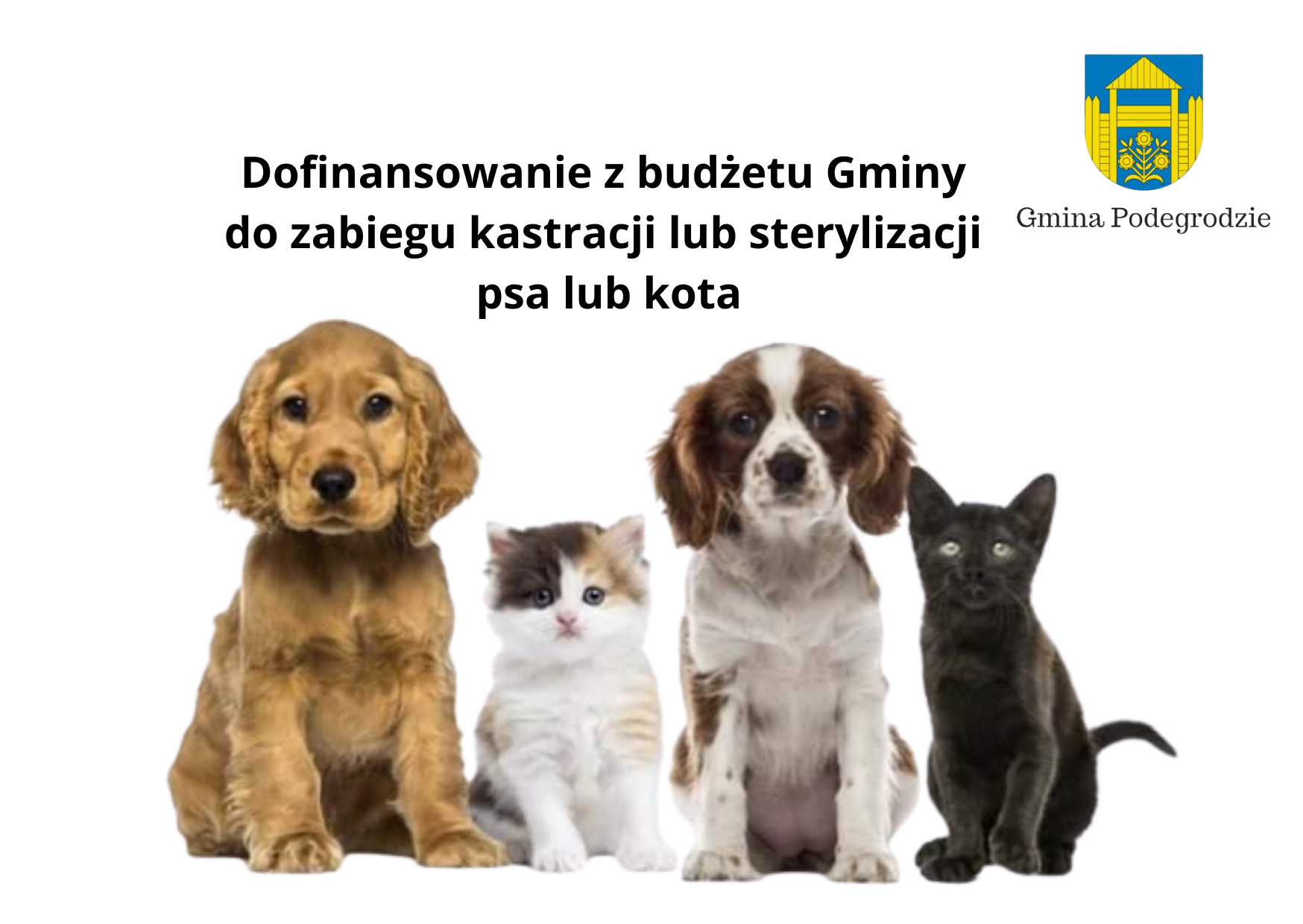 OGŁOSZENIA I KOMUNIKATY