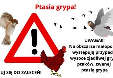 Uwaga - ptasia grypa!