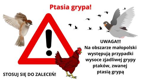 Uwaga - ptasia grypa!