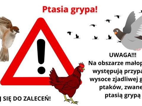 Uwaga - ptasia grypa!