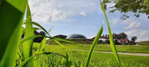 Biogazownie - ekologiczne źródła energii elektrycznej i ciepła