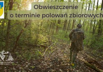 Obwieszczenie o terminie polowań zbiorowych Darz Bór