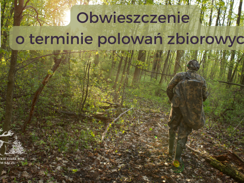Obwieszczenie o terminie polowań zbiorowych Darz Bór