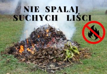 Informacja o zakazie spalania liści i innych części roślinnych na posesjach