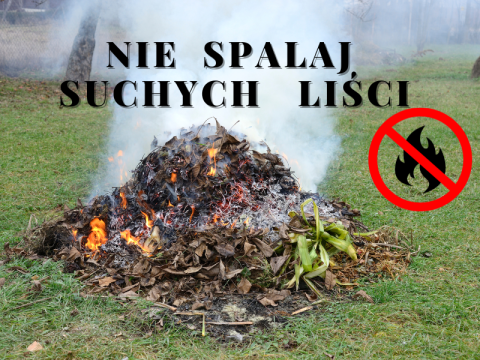 Informacja o zakazie spalania liści i innych części roślinnych na posesjach