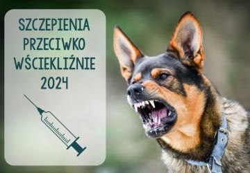 OBOWIĄZKOWE szczepienie psów przeciwko wściekliźnie