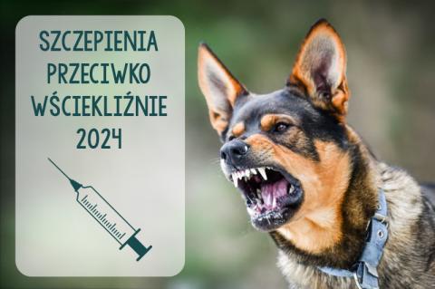 OBOWIĄZKOWE szczepienie psów przeciwko wściekliźnie