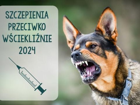 OBOWIĄZKOWE szczepienie psów przeciwko wściekliźnie