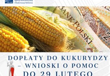 Dopłaty do kukurydzy – wnioski o pomoc do 29 lutego