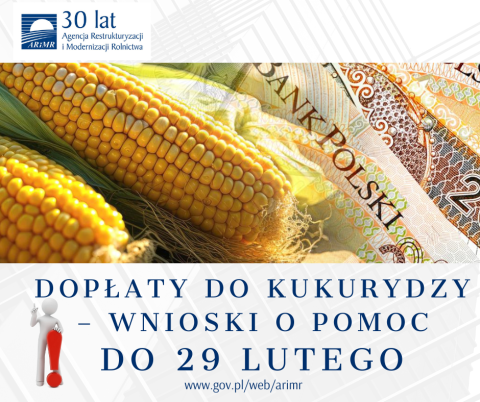 Dopłaty do kukurydzy – wnioski o pomoc do 29 lutego