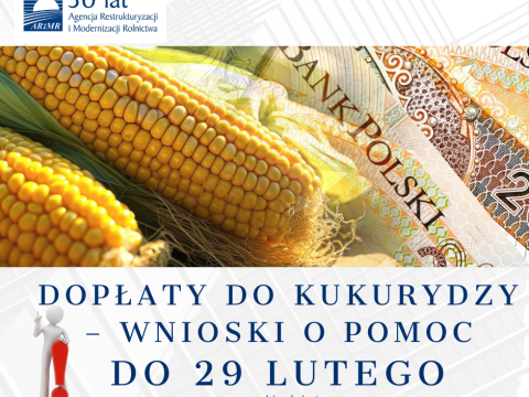 Dopłaty do kukurydzy – wnioski o pomoc do 29 lutego
