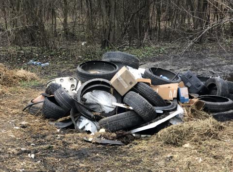 Notorycznie wyrzucane odpady w Stadłach w okolicach stawów