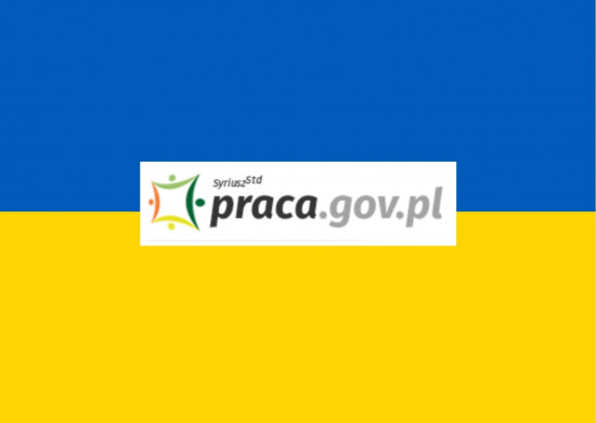 Wybory samorządowe 2024