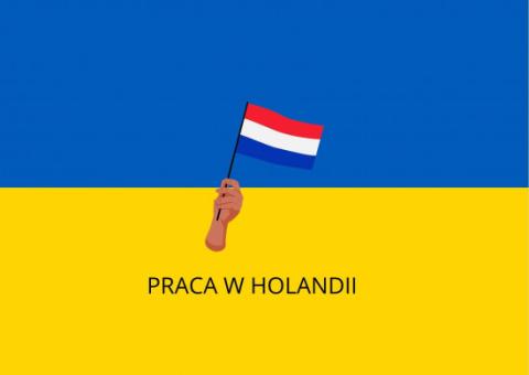 Oferta wyjazdu do Holandii dla osób z Ukrainy