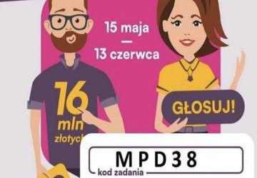 Regionalny Zespół Pieśni i Tańca ,,Brzeźnioki