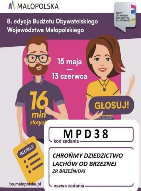 Regionalny Zespół Pieśni i Tańca ,,Brzeźnioki" walczy o projekt w Budżecie Obywatelskim