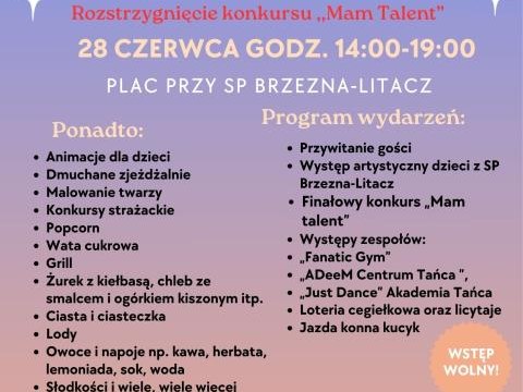 Rodzinny Piknik Wakacyjny w Brzeznej-Litacz