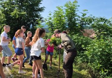 Dzień z Przyrodą w Szkole Podstawowej im. Batalionów Chłopskich w Rogach