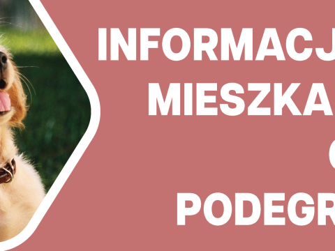 Informacja dla mieszkańców w sprawie opieki nad psami