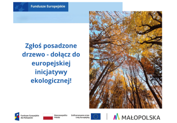 Zgłoś posadzone drzewo – dołącz do europejskiej inicjatywy ekologicznej