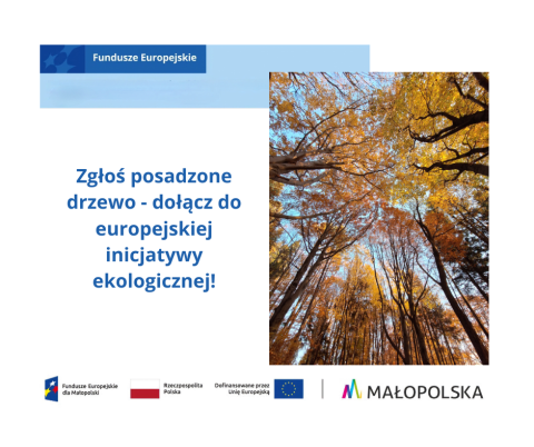 Zgłoś posadzone drzewo – dołącz do europejskiej inicjatywy ekologicznej