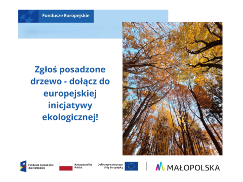 Zgłoś posadzone drzewo – dołącz do europejskiej inicjatywy ekologicznej