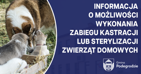 Informacja o możliwości wykonania zabiegu kastracji/sterylizacji zwierząt domowych