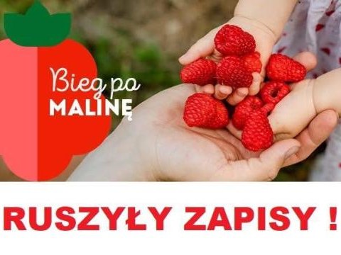 Bieg po malinę - ruszyły zapisy