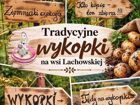 Tradycyjne wykopki na wsi Lachowskiej