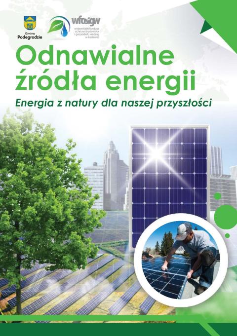 Podsumowanie projektu „Młodzi dla Klimatu - program edukacji ekologicznej w Gminie Podegrodzie”