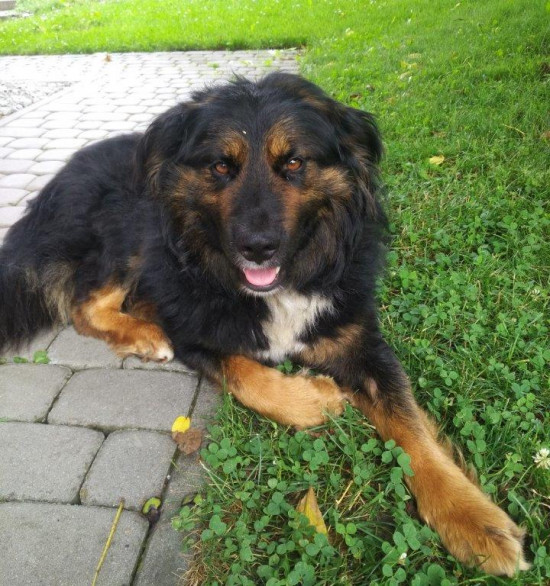 AKTUALNOŚCI