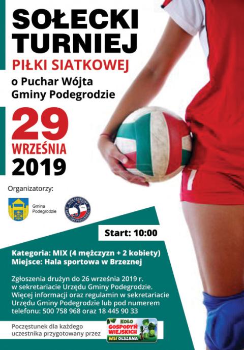 Sołecki turniej piłki siatkowej o puchar Wójta