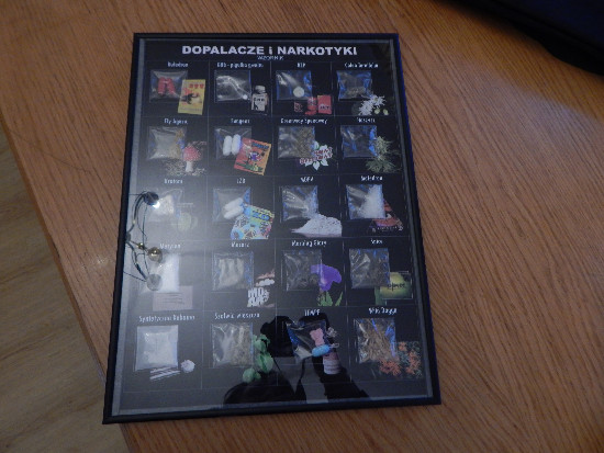 DSCN5960.jpg