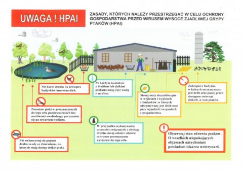 Informacja o wystąpieniu serii ognisk wysoce zjadliwej grypy ptaków podtypu H5N8