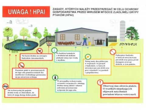 Informacja o wystąpieniu serii ognisk wysoce zjadliwej grypy ptaków podtypu H5N8