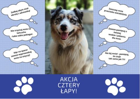 AKCJA CZTERY ŁAPY