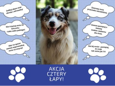 AKCJA CZTERY ŁAPY