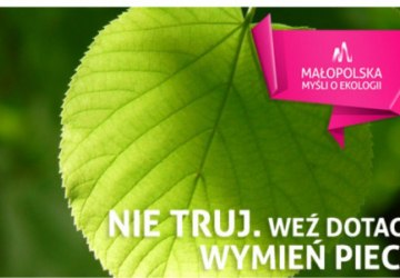 Obniżenie poziomu niskiej emisji w indywidualnych gospodarstwach domowych na terenie Gminy Podegrodzie