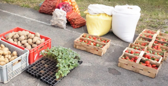 Podegrodzki Bazarek cieszy się popularnością