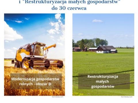 Kończy się czas na złożenie wniosków na „Modernizację w obszarze D” i „Restrukturyzację małych gospodarstw” - informacja prasowa