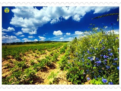 Nasza piękna Gmina - Chochorowice