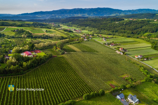 AKTUALNOŚCI