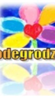 Gminna Strategia Rozwiązywania Problemów Społecznych w Gminie Podegrodzie