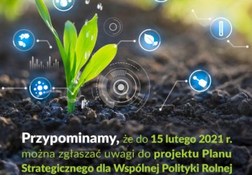 Uwagi do projektu Planu Strategicznego dla Wspólnej Polityki Rolnej