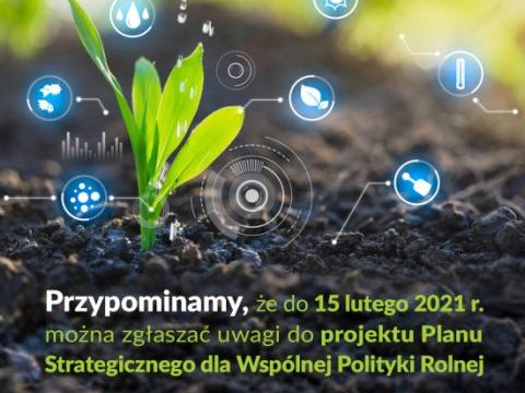 Uwagi do projektu Planu Strategicznego dla Wspólnej Polityki Rolnej